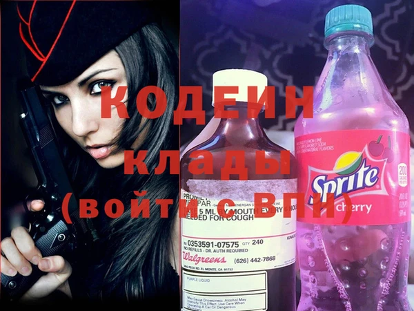 apvp Дмитриев