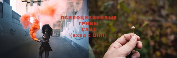 mdpv Дмитровск
