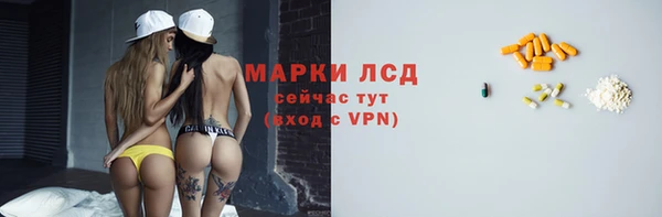 apvp Дмитриев