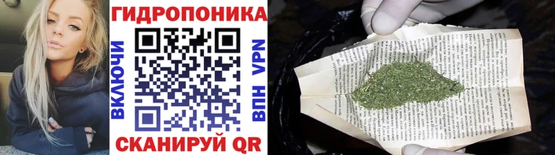 Каннабис OG Kush Еманжелинск